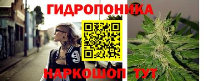 spice Шебекино