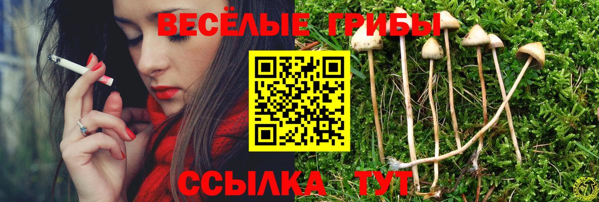 Бахчисарай  Галлюциногенные грибы мухоморы  Вход с VPN  Галлюциногенные грибы прущие грибы 