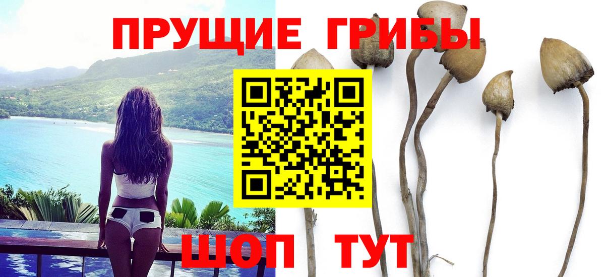 Псилоцибиновые грибы GOLDEN TEACHER Бахчисарай